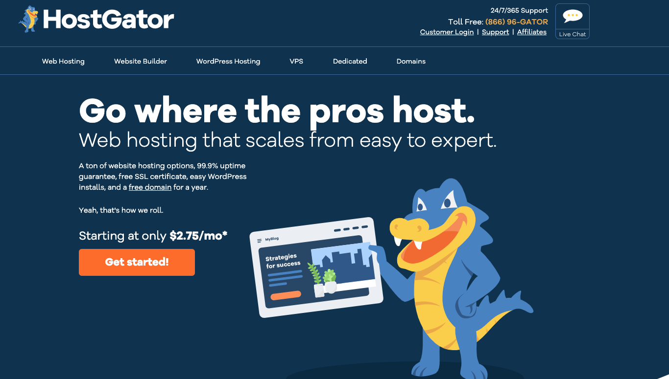 HostGator Homepage Screenshot (Hosting Options)