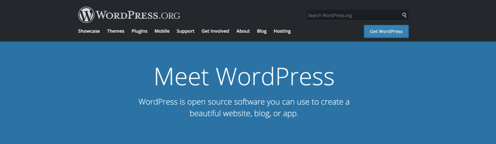 How to Start a WordPress Blog (Pros and Cons of Choosing WordPress as a CMS Screenshot)