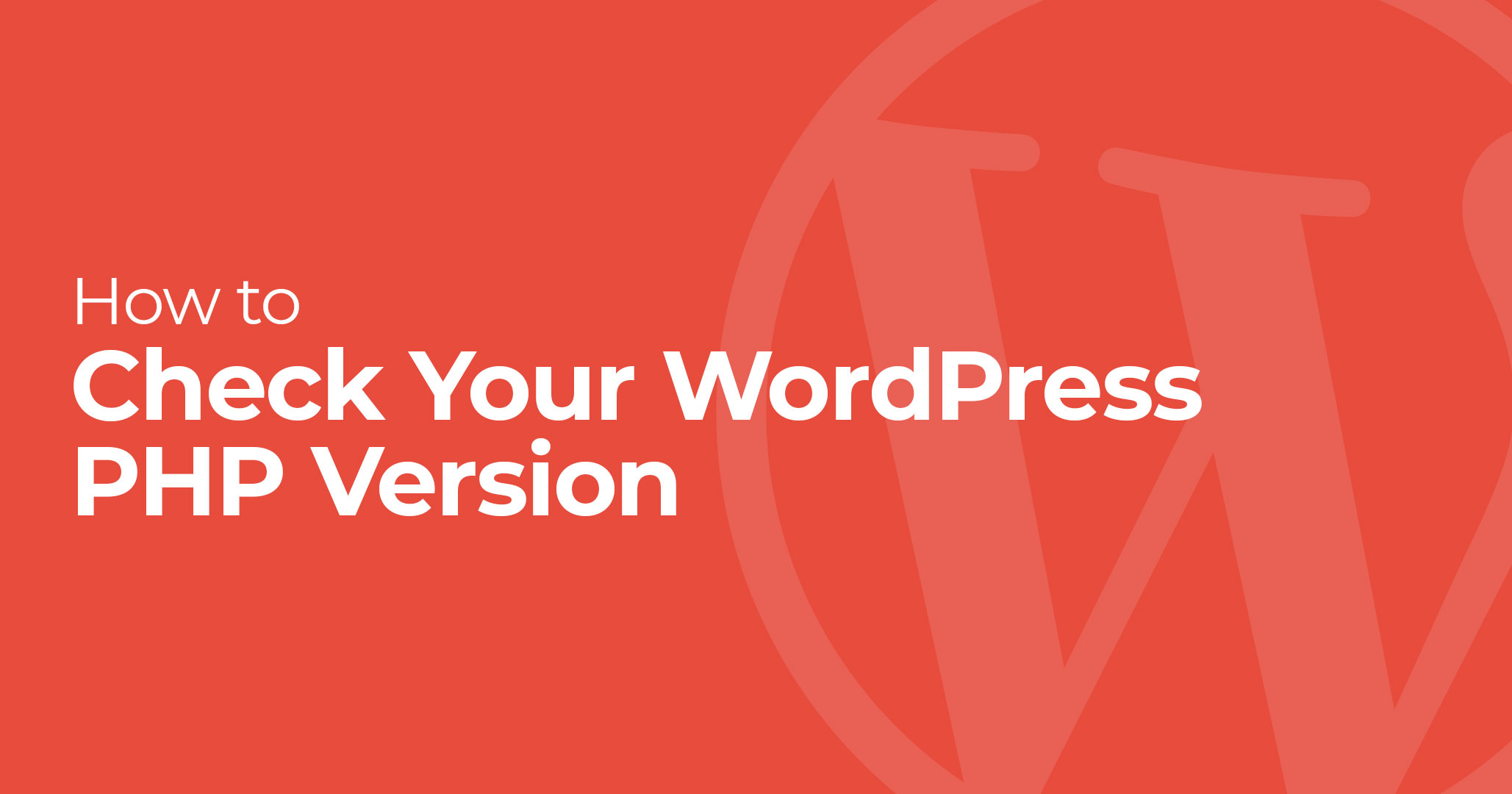 check wordpress site php version