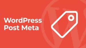 WordPress post meta — coral header graphic with a white line-art price tag icon over the WordPress logo watermark, representing custom field metadata retrieval.