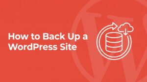 How to back up a WordPress site: database and cloud backup icon on coral background