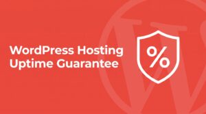 WordPress hosting uptime guarantee featured image