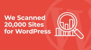Illustration of a magnifying glass over a bar chart, representing a scan of 20,000 websites for WordPress